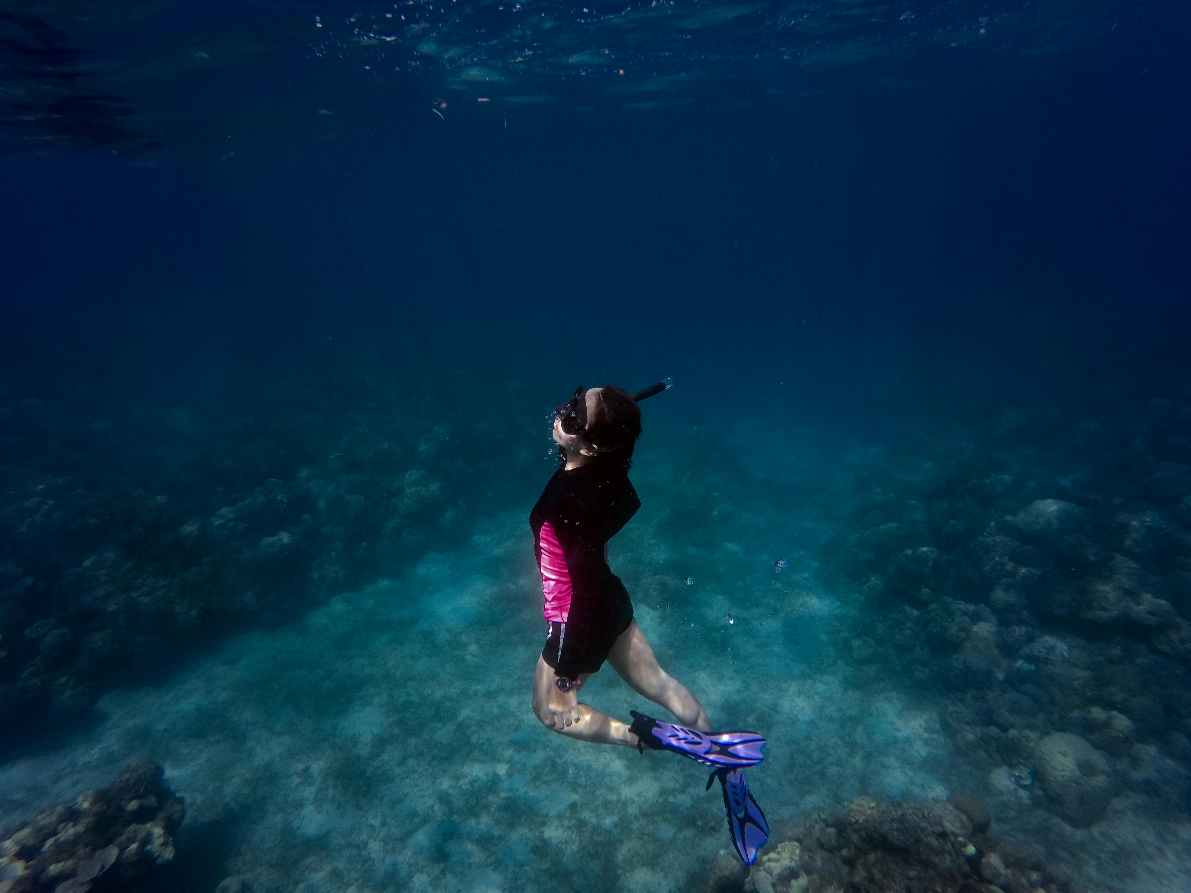 Experiencia de snorkeling en aguas claras